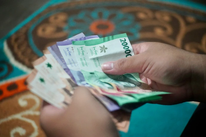 a person holding a bunch of money in their hand